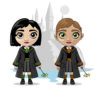 Harry Potter test